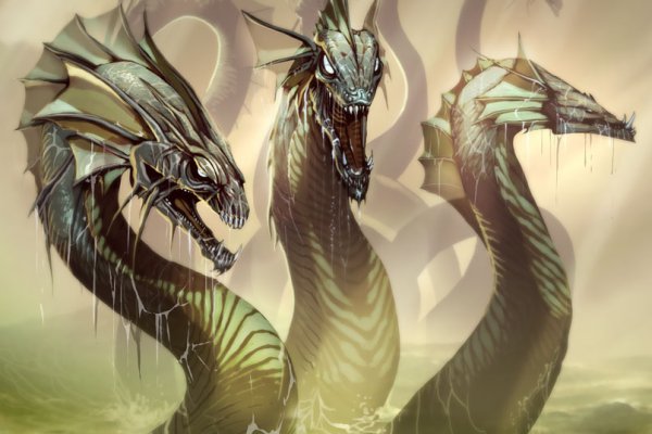 Kraken 13at