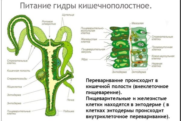 Кракен маркетплейс скачать