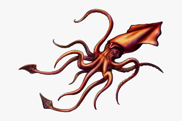 Solaris kraken