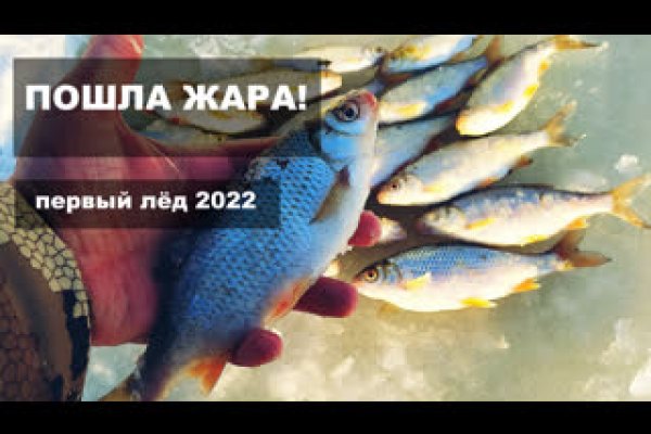 Кракен нет