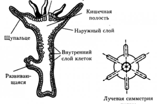 Кракен как зайти ссылка