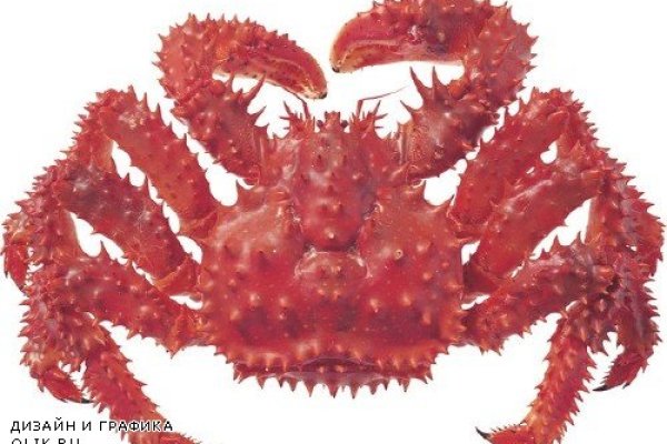 Kraken tor зеркало