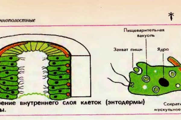 Кракен ссылка официальная на тор