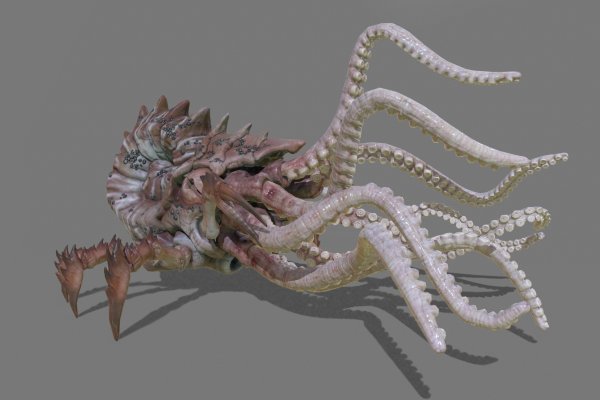 Kraken рабочее зеркало onion