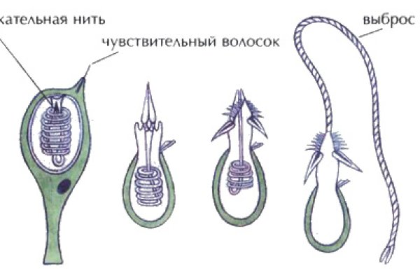 Кракен плейс